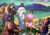 Audio Bible | Easter | Miracle Of The Loaves And Fishes | Oliver Peers