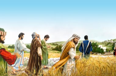 Audio Bible | Jesus Is Lord Of The Sabbath | Oliver Peers