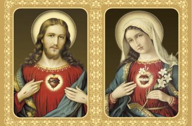 Audio Bible | The Sacred Heart