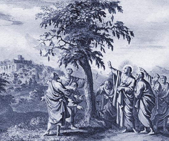 Audio Bible | End Times | The Lesson of the Fig Tree