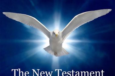 Audio Bible KJV | New Testament | Word Aloud | Oliver Peers