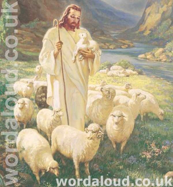 Jesus Is The Good Shepherd | Love Revealed By Jesus Christ