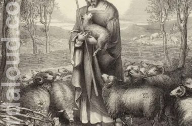 Jesus Is The Good Shepherd | Love Revealed By Jesus Christ
