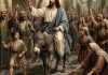 Palm Sunday | Jesus Enters Into Jerusalem